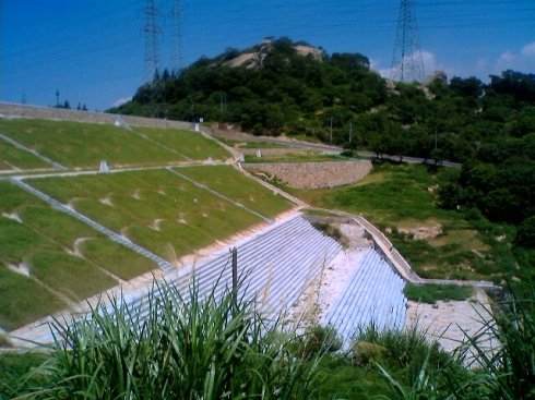 甘肃需要种高速公路护坡草种去哪里买