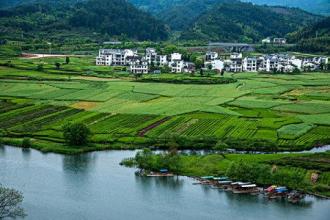 美丽乡村涟水乡村绿化景观种植草坪