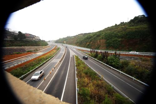 乡村道路路肩草种