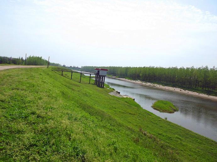 云岩区河北护坡草籽价格